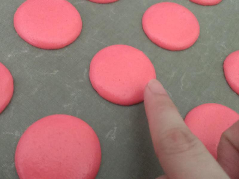 �������������������