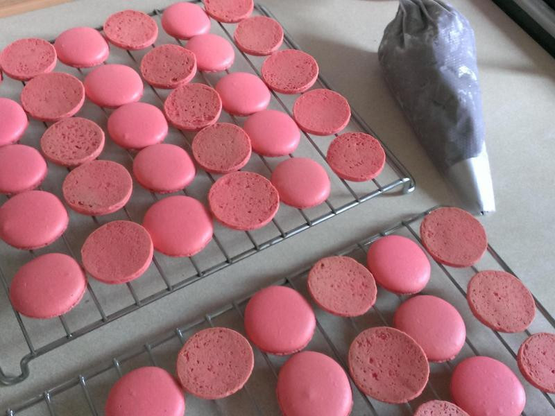 �������������������