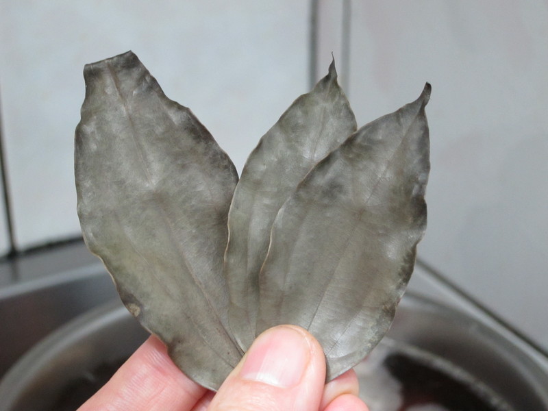 ±��β&���ⶳ������