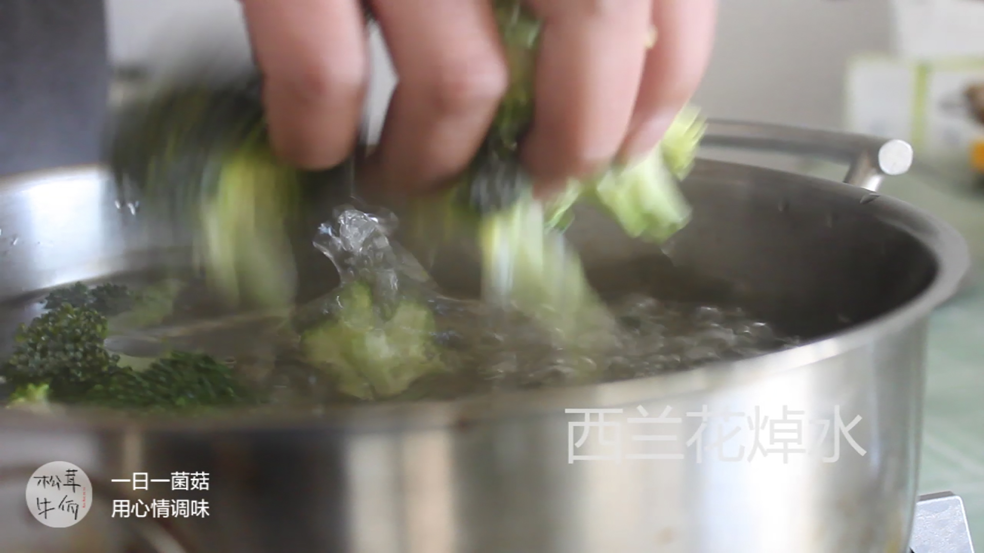 �����س���������ţ������ʳ�׵�����