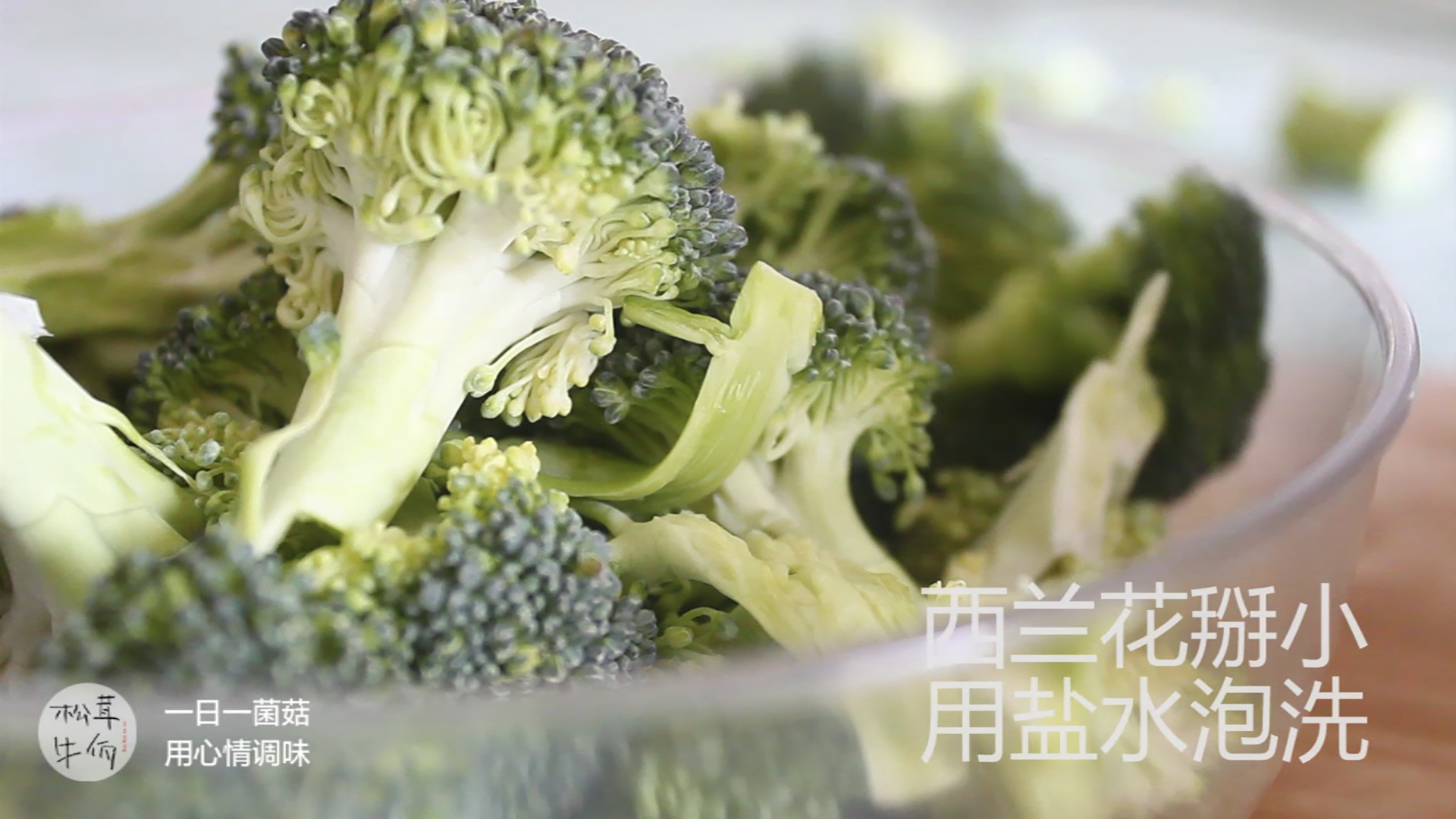 �����س���������ţ������ʳ�׵�����