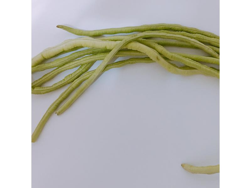 ���賤��������