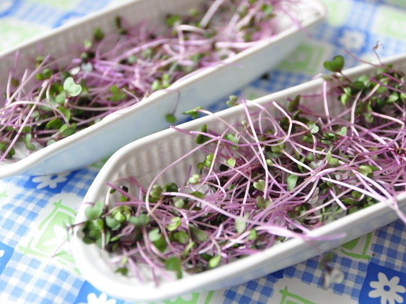 �������ֽ�����ը������Ȼ���⴮�յ�����