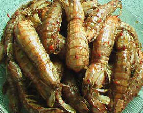 ��֭ƤƤϺ������