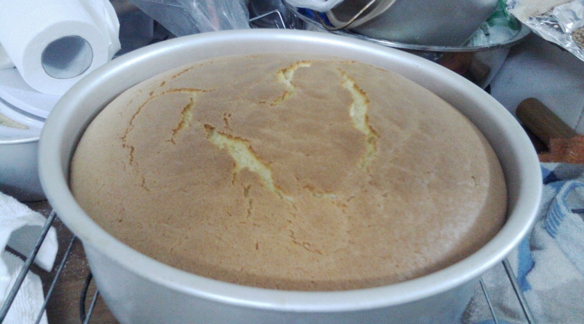 10���ݷ絰�������