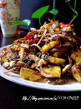 ���γ������������