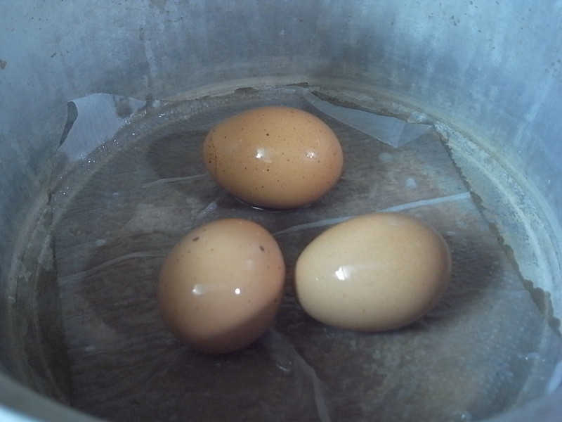 �����ɳ���ͽ�����ħ����ɳ��������