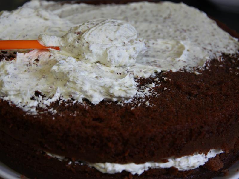 �ɿ������յ��⡾Fang&Maggie��������