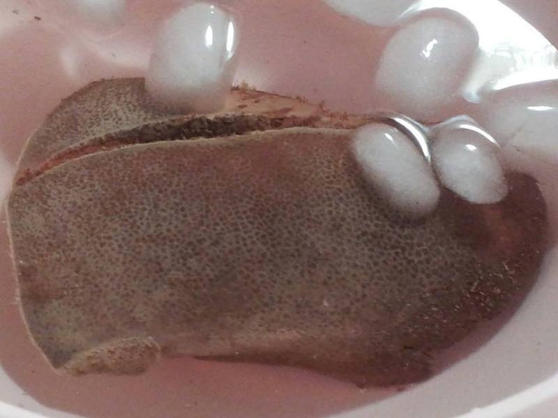 ���������Ρ�������