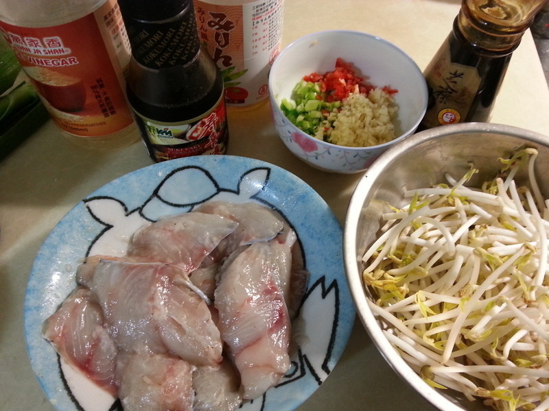 ������Ƭ������