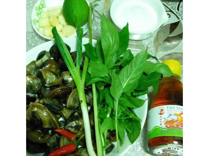 Խʽ��͸��۵�����