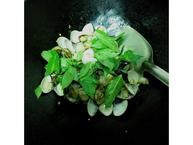 Խʽ��͸��۵�����