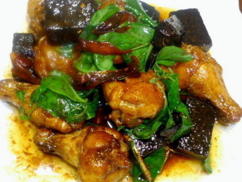 ������Ѫ���������