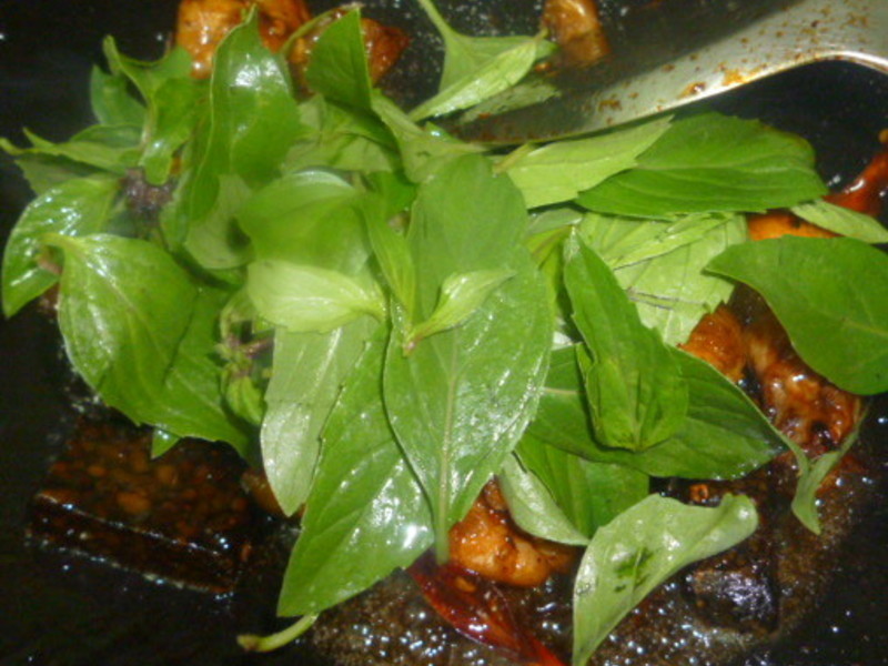 ������Ѫ���������