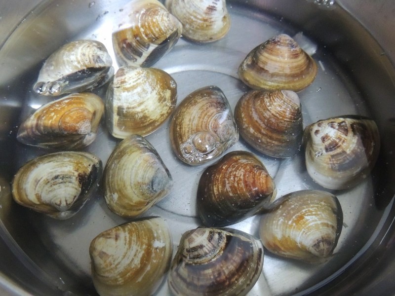 [ ���Ÿ���Ʈ������ ] ������۵�����