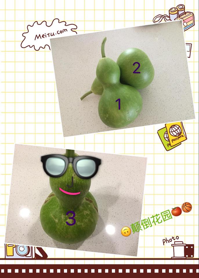 葫芦蛤蜊排骨汤的做法