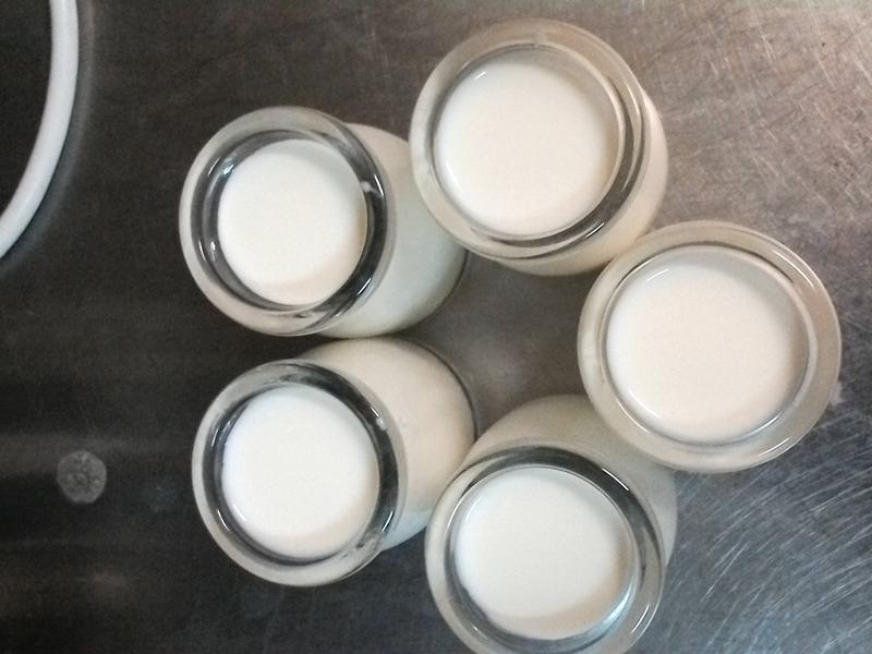 �����Ÿ�(���װ�)������