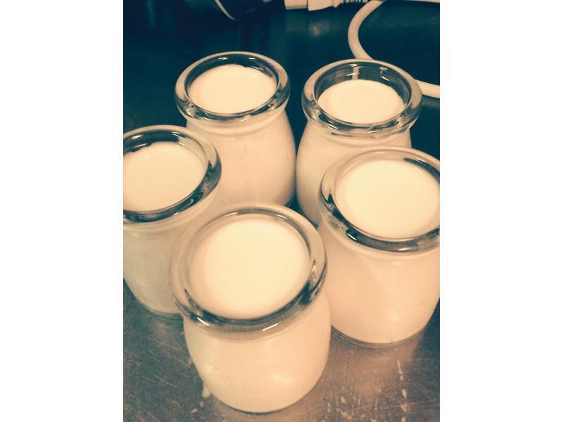 �����Ÿ�(���װ�)������