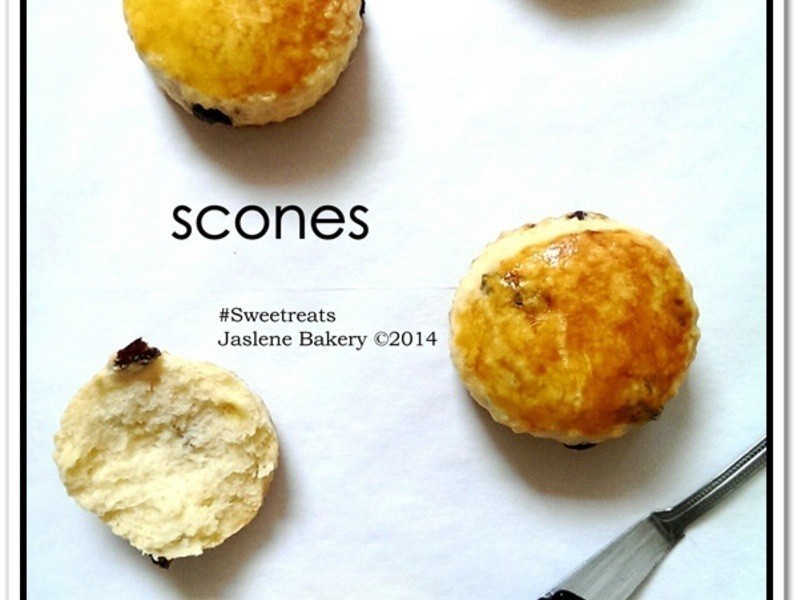 ����Ĺ������-��������˾��Scone������
