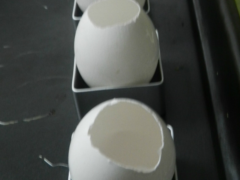 ���������뽹�ǲ���������