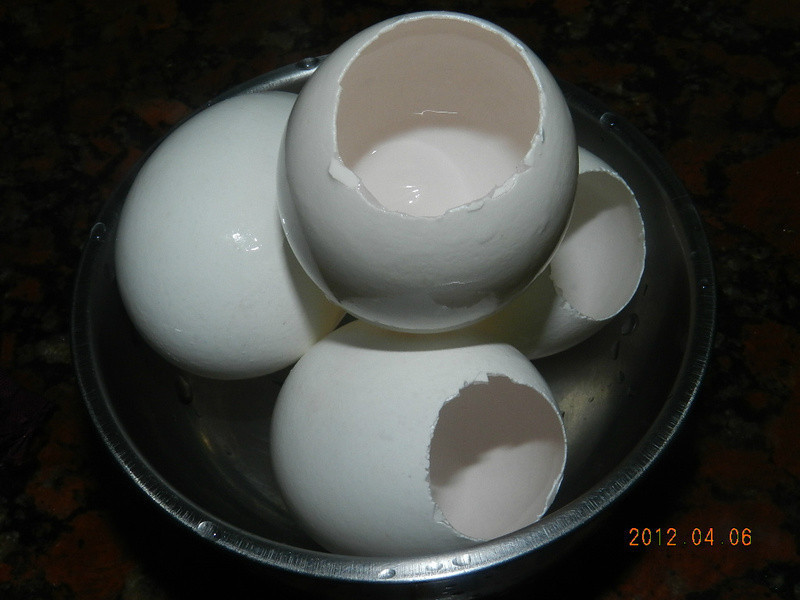 ���������뽹�ǲ���������