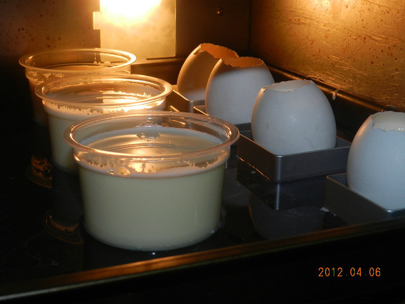 ���������뽹�ǲ���������