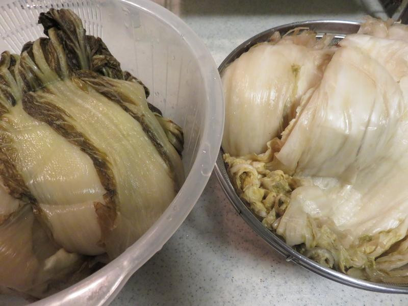 ������ײ˵��Z�Ʒ���������