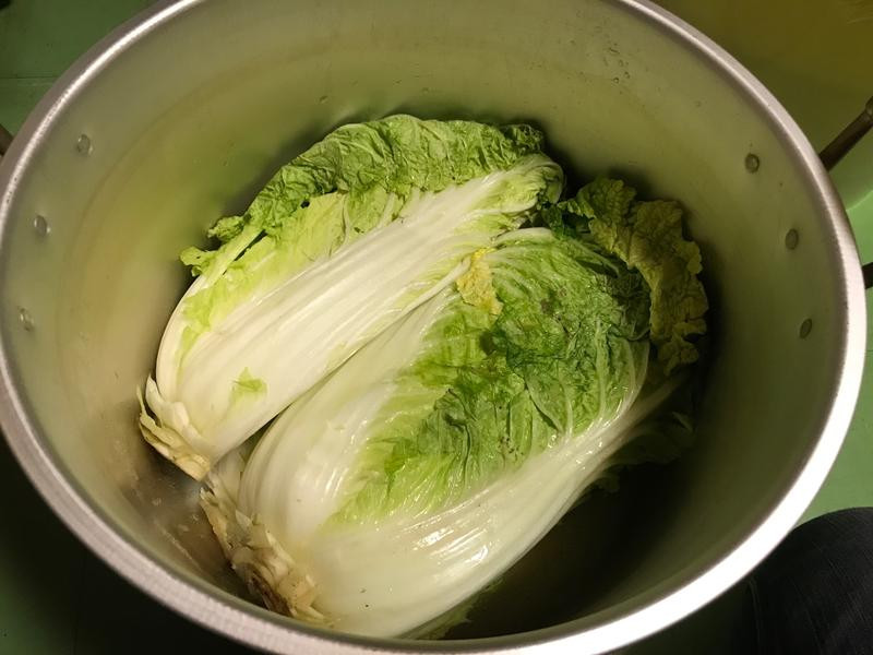 ������ײ˵��Z�Ʒ���������