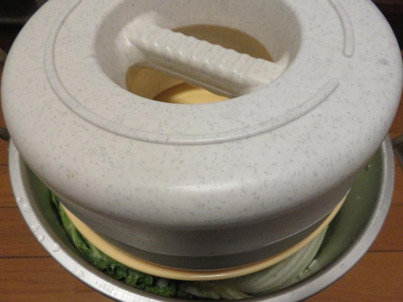 ������ײ˵��Z�Ʒ���������