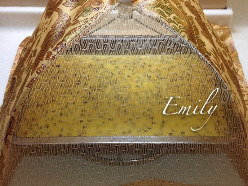 �������������¶������ʽ����ܵ�����