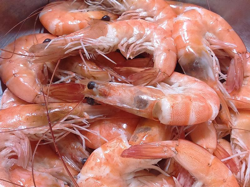 ��½���ѱʹ��������