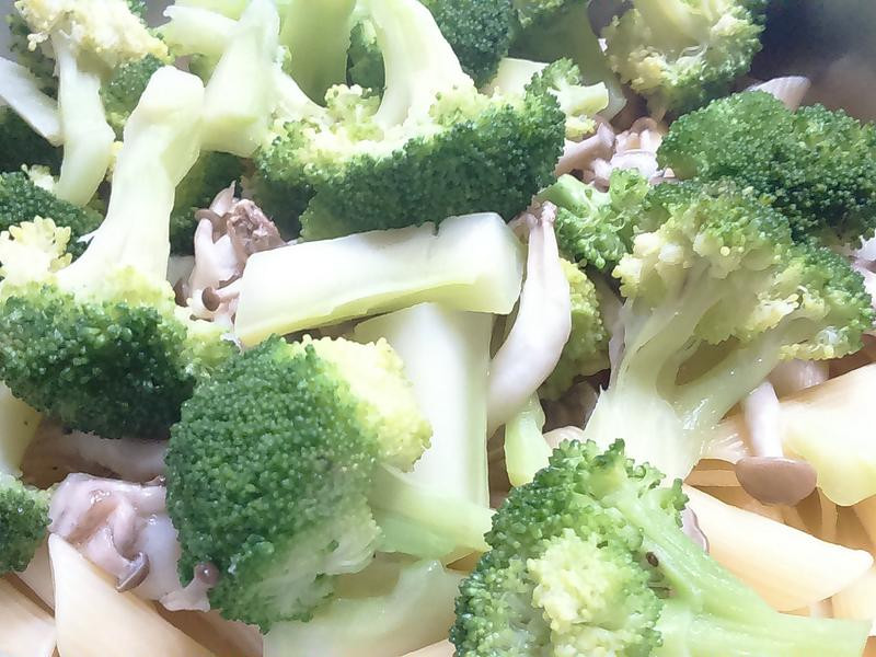 ��½���ѱʹ��������