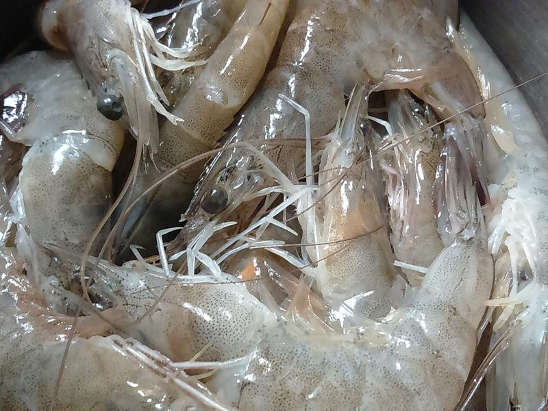 ��½���ѱʹ��������