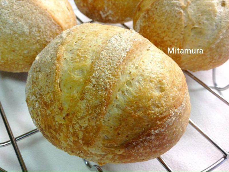 ������ѿ�����������������