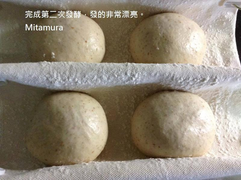 ������ѿ�����������������