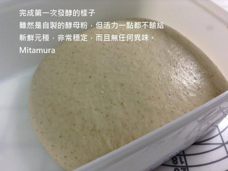 ������ѿ�����������������