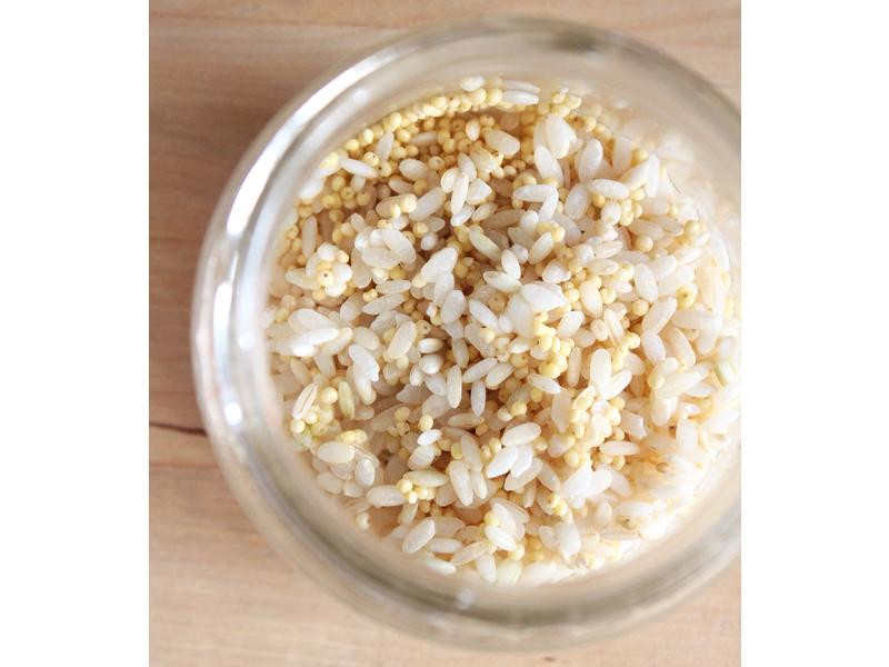 �Ϲ�ɽҩ�����������