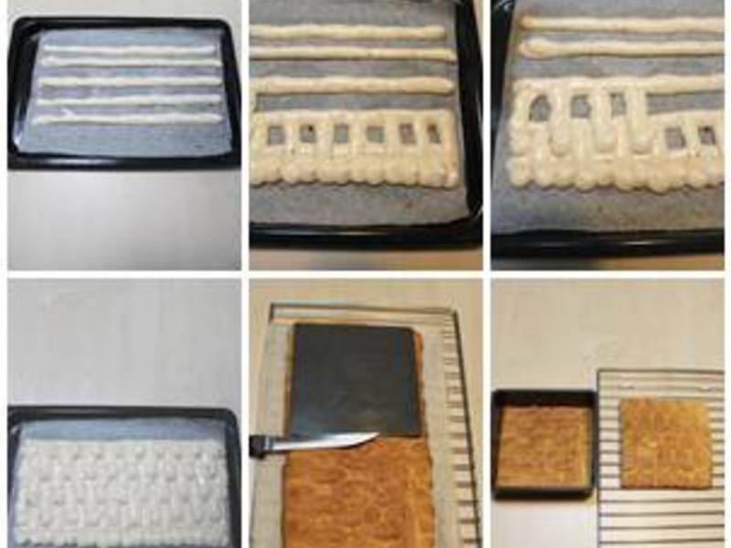 ���������硿���ɿ���Ľ˹��ݮ���������