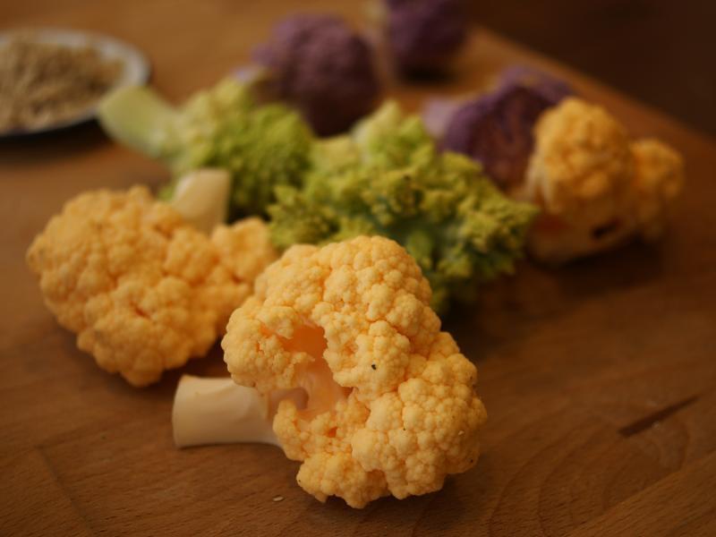 ���Ͽ���Ҭ������