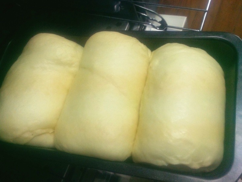 ��Խݮ������˾������