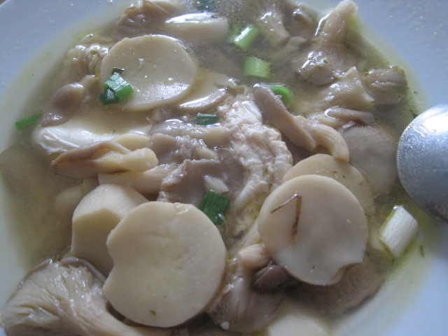 ѩ��������� #���ԭ��#������