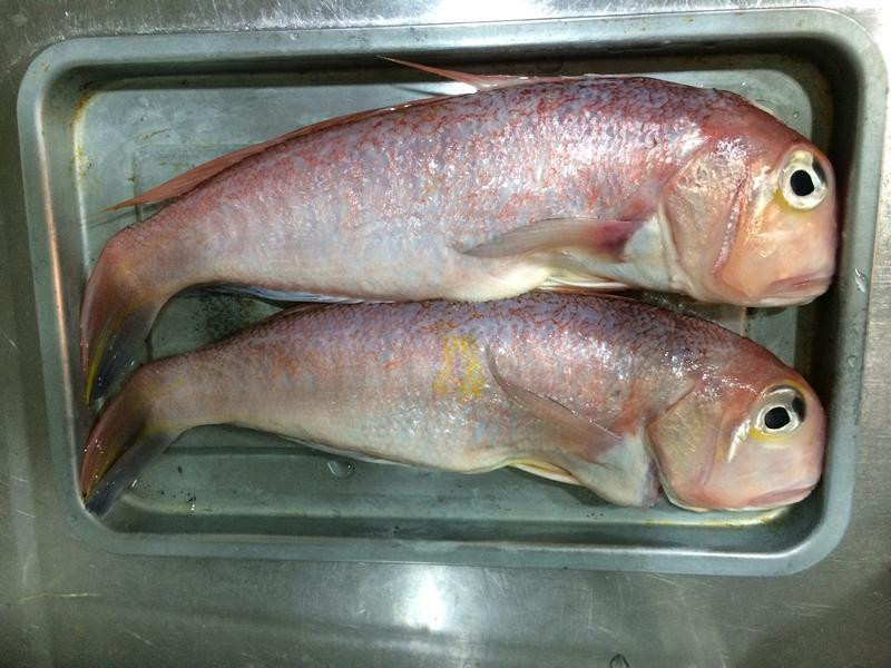 ������ͷ�������