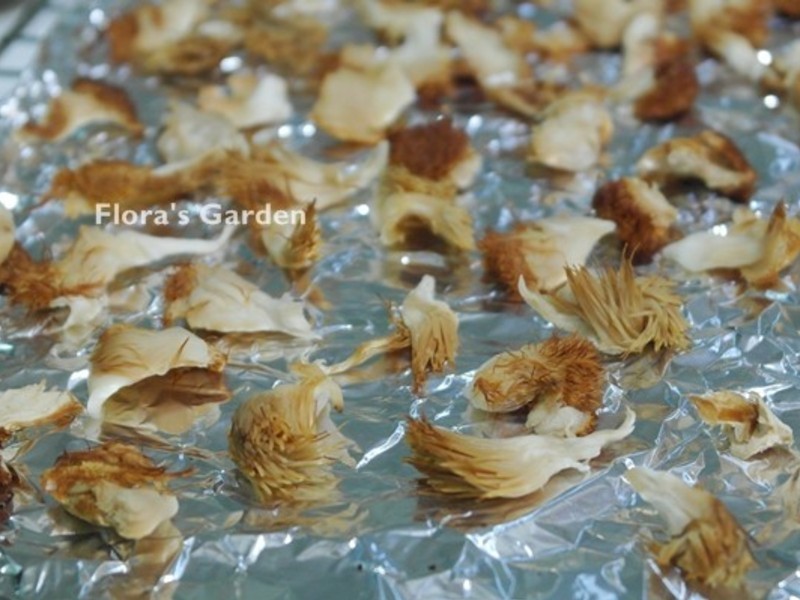 ������ͷ��������