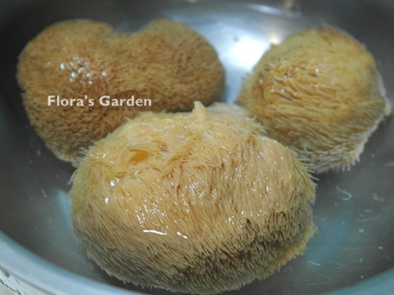 ������ͷ��������