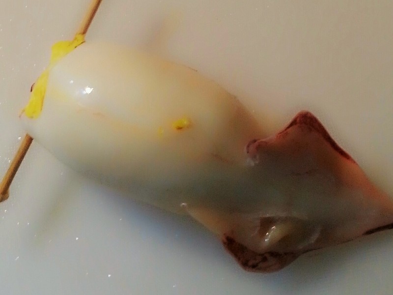 ����������̵�����