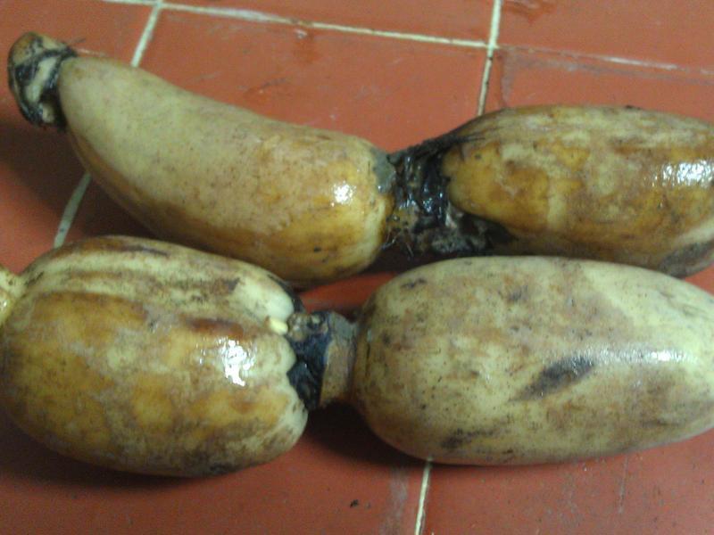 [�������]������ź������