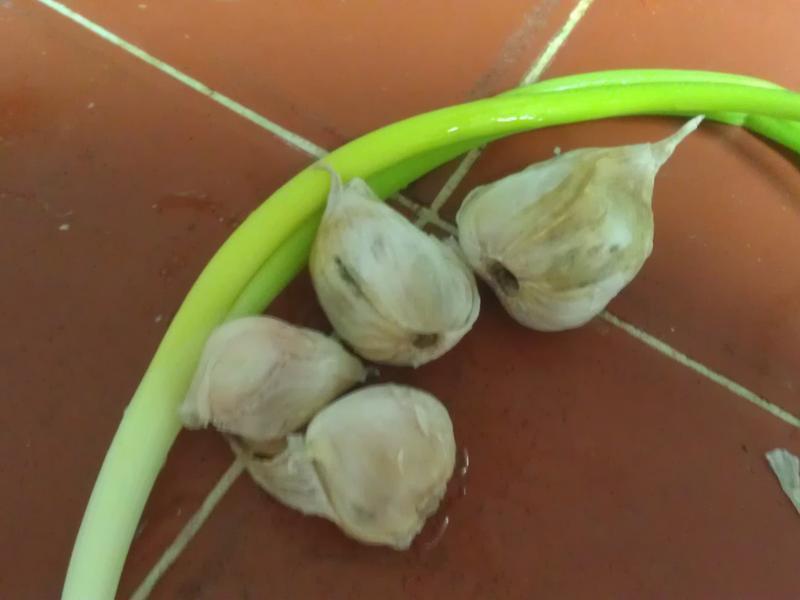 [�������]������ź������