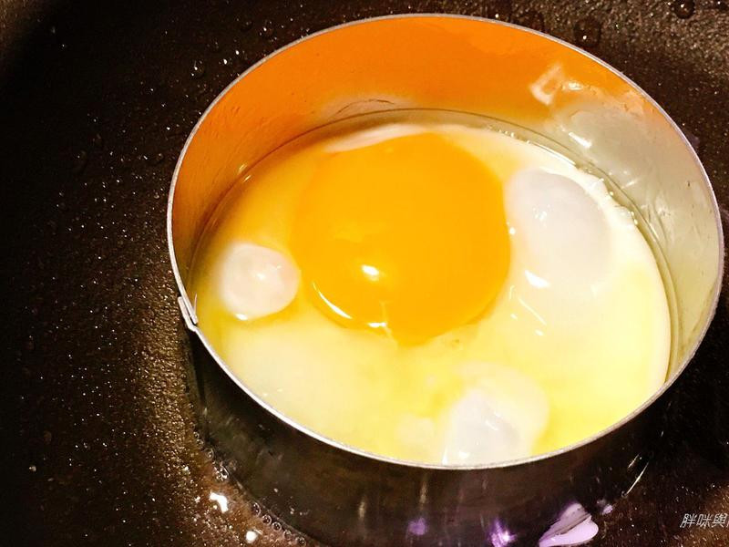 ʣʳ��������͵�����