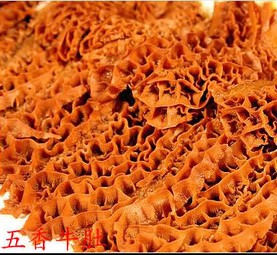 ����ţ�ǵ�����