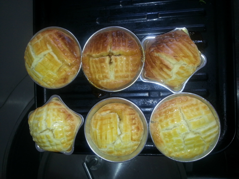 ��Ƥ���ӽ���ʽ�ڱ�������